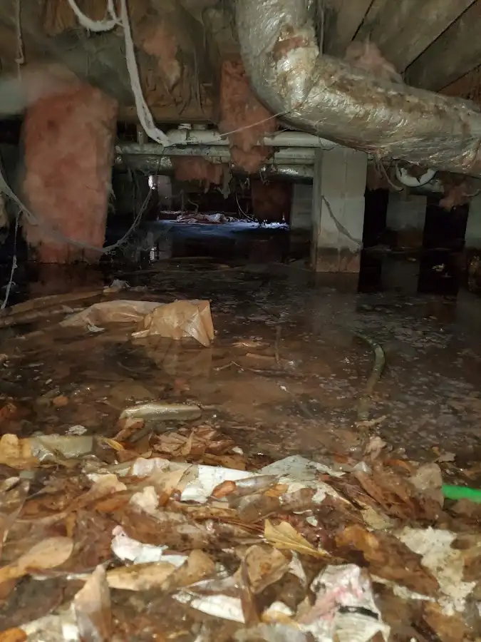 Crawl space flood assessment for Commercial Water Damage Restoration in Morgan City