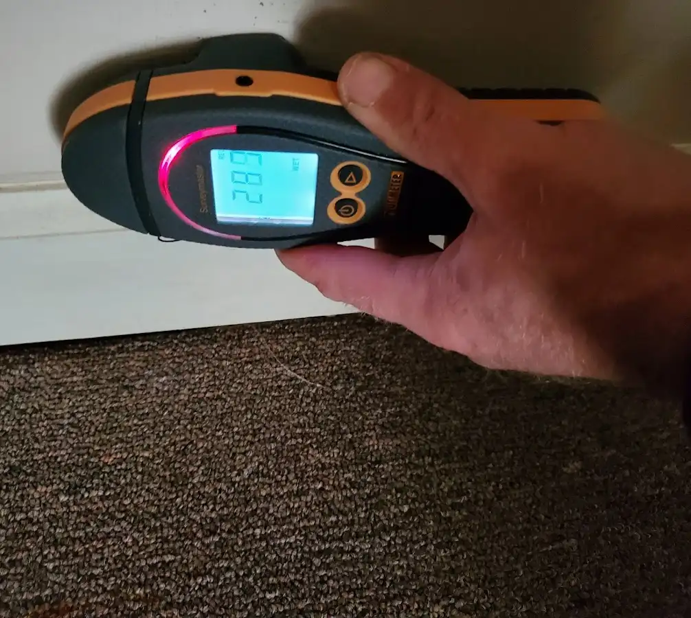 Moisture detection at baseboard during Burst Pipe Cleanup in Morgan City